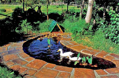 Duck Pond Landscaping - Best Decorations