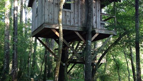 Edisto River Treehouses (Canadys, SC): What to Know BEFORE You Bring ...