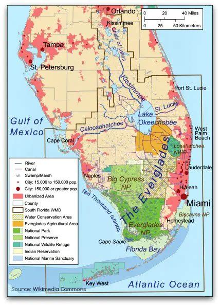 Everglades Facts and Tips for Planning Your Adventure