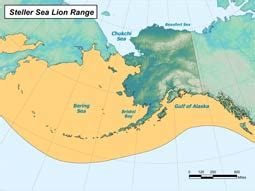 California Sea Lion Habitat Map