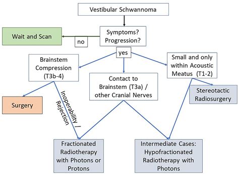 Frontiers | Effectiveness and Toxicity of Fractionated Proton Beam ...