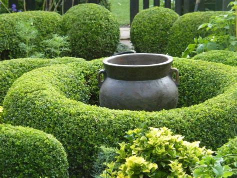 P O T A G E R: Seven Excellent Varieties of Boxwood for the South