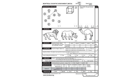 Moca test scoring interpretation - cruiseress