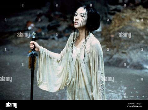 ZHANG ZIYI, CROUCHING TIGER HIDDEN DRAGON, 2000 Stock Photo - Alamy