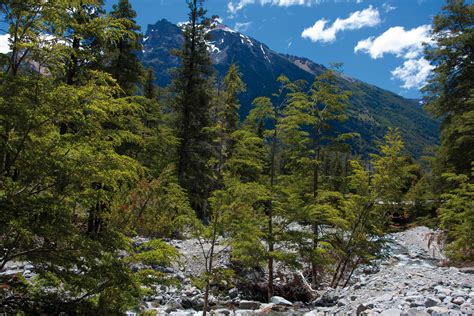 Río Negro Climbing Trips. Guided Ascents in Argentina | Explore-Share