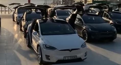 These Tesla Model Xs Flap Their Falcon Wing Doors In Unison | Carscoops