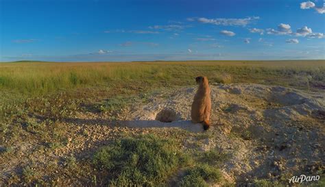 Orenburg Nature Reserve. Russia