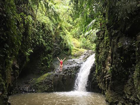 4 of the Most Beautiful Waterfall Hikes on Oahu | Hawaii Beach Homes