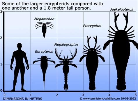 Pterygotus- the monster Eurypterid - Creature submission archive - ARK ...