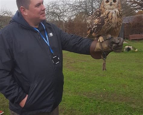 Leeds Castle Falconry Experiences - All You Need to Know BEFORE You Go