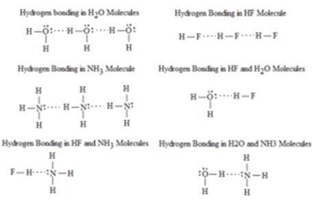 Hydrogen Bonding: The concept, its characteristics and importance ...