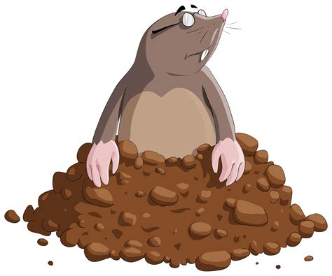 Mole clipart science, Mole science Transparent FREE for download on ...