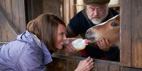 Toni Collette Formed A ‘Profound’ Bond With One Horse On Set Of Dream ...