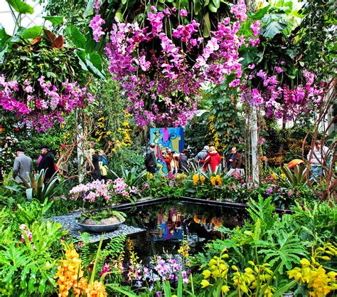 Stunning photos from the New York Botanic Garden’s annual Orchid Show ...