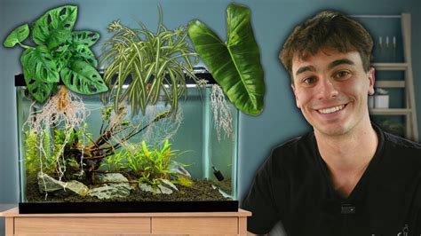 These 5 Easy House Plants Filter Your Aquarium! - YouTube