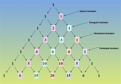 Pascal's Triangle | Definition, Formula, Patterns, and Examples