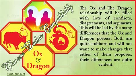 Ox Dragon Compatibility: Stubborn and Different - SunSigns.Net