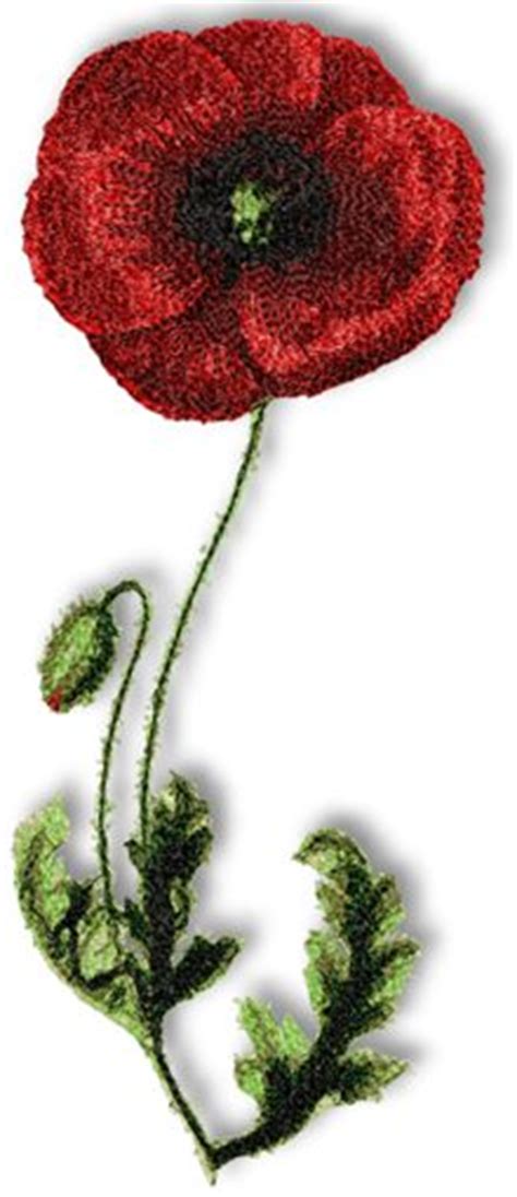 Advanced Embroidery Designs - Poppy Embroidery Designs