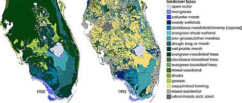 Florida Wetlands Map | Free Printable Maps