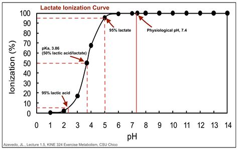 Lactate... The Math, The Myth, The Legend • truPhys