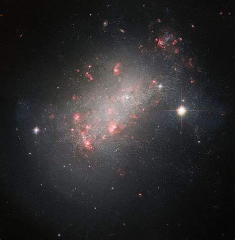 Hubble Observes Magellanic-Type Dwarf Irregular Galaxy | Sci.News