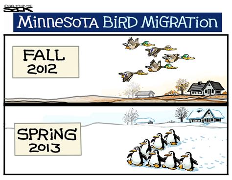 Sack cartoon: Minnesota Bird Migration