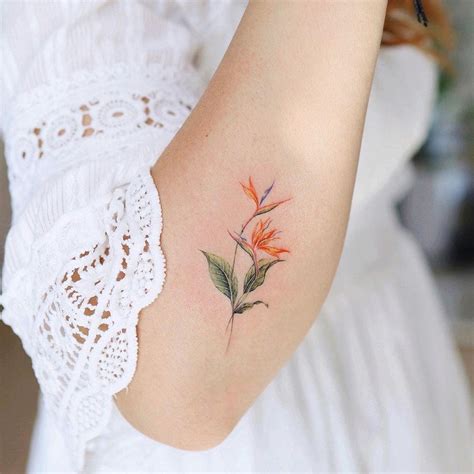 Bird of paradise flower tattoo by @vane.tattoo_ - Tattoogrid.net