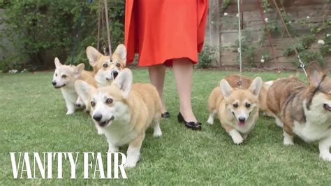 Meet the Queen's Royal Corgis | Vanity Fair - YouTube