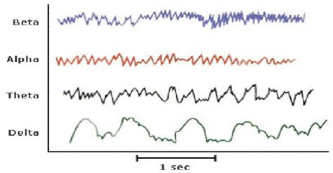 Eeg Brain Waves