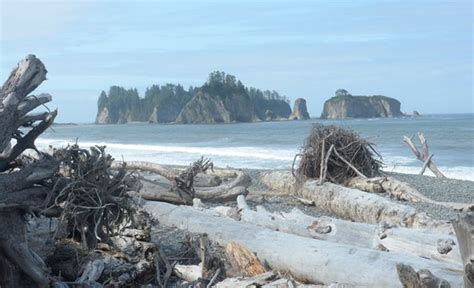 Quileute Indian Reservation (Forks) - 2020 All You Need to Know BEFORE ...