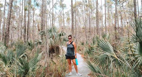 The Best Hikes in Everglades National Park | Her Life Adventures