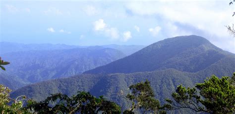 Blue Mountain - The Blue Mountains are the longest mountain range in ...