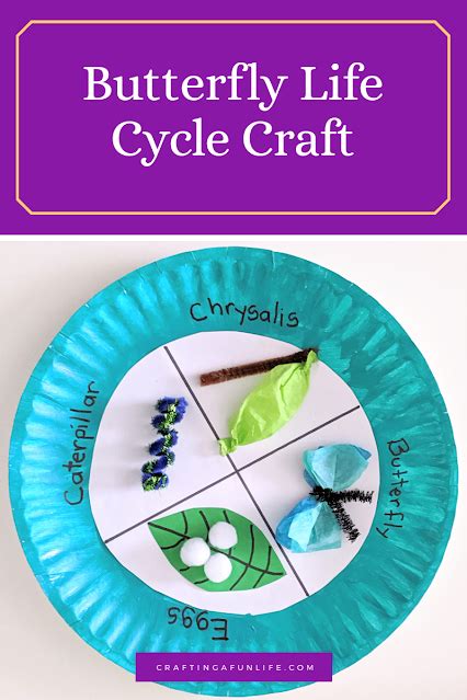 Butterfly Life Cycle Paper Plate Craft for Kids - Crafting A Fun Life