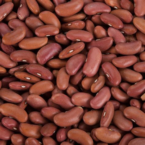 Dried Light Red Kidney Beans - 20 lb.