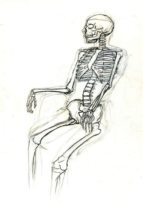 A skeleton sitting down 1 by cimbum on DeviantArt