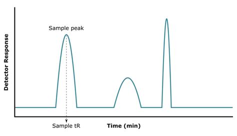 Gas Chromatography Graph