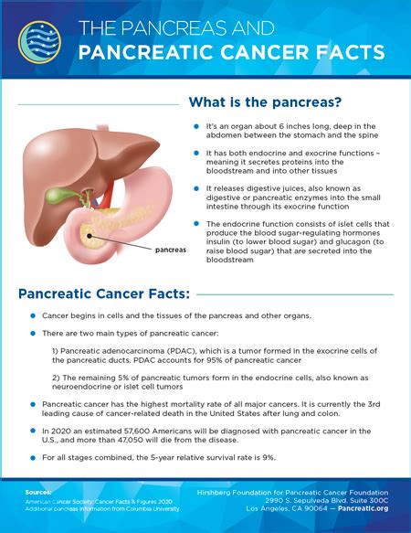 Pancreatic Cancer Facts - Hirshberg Foundation for Pancreatic Cancer ...