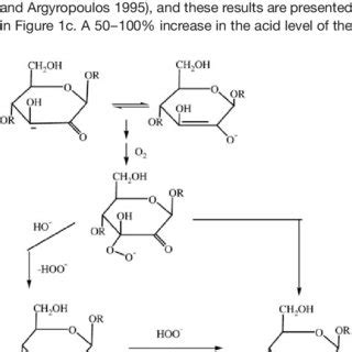 Mechanism for polysaccharide degradation. | Download Scientific Diagram