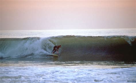 Surfing in Los Angeles 2024-2025 - Rove.me