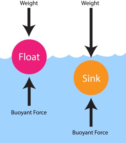 Buoyant Force Free Body Diagram - Drivenheisenberg