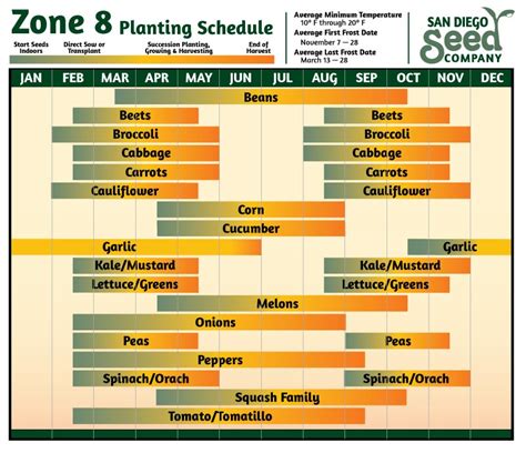 Zone 8 Planting Guide: When to Plant Potatoes for Optimal Growth - PlantHD