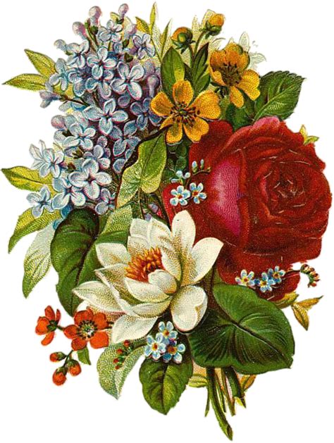 Download Flower, Vintage, Collage. Royalty-Free Stock Illustration ...