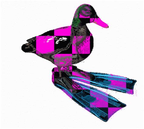 Checkered Duck Spinning GIF | GIFDB.com