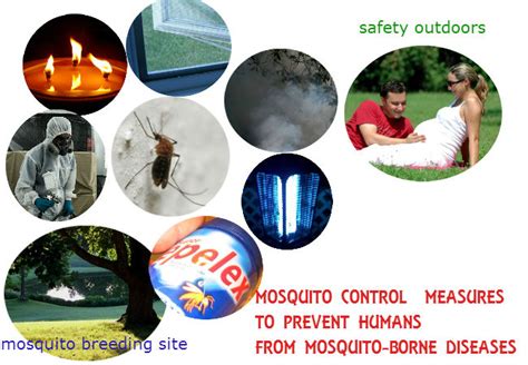 Mosquito control methods to prevent transmission of viruses