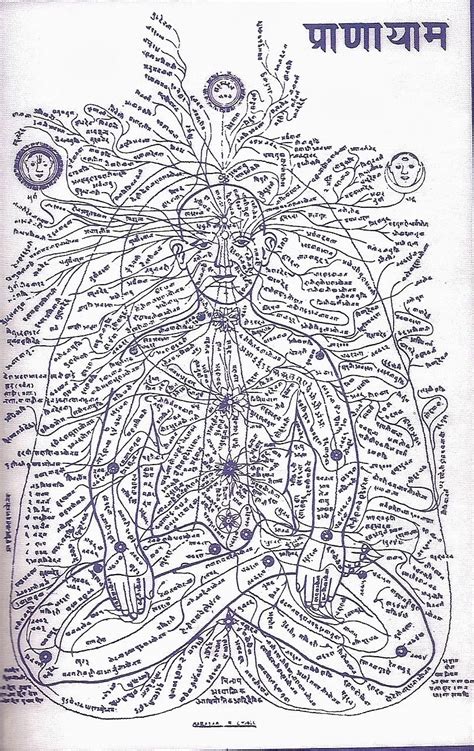 Higher Perspective: Scientific Proof We Can Reprogram Our DNA With ...