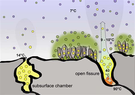 Hydrothermal vent ecology