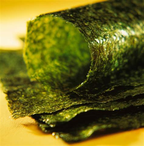 Your Obsession With Seaweed Snacks is Really, Really Good For Your Health