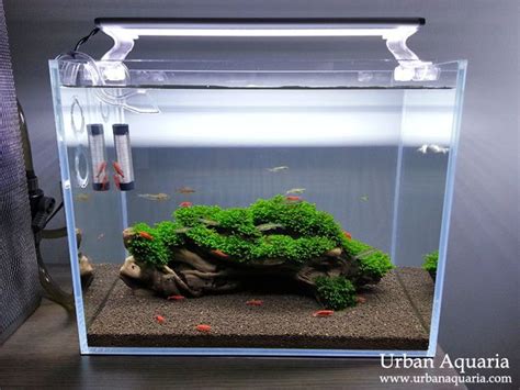 Nano Tank Aquascaping - Aquascape Ideas