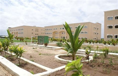 Mogadishu University - Alchetron, The Free Social Encyclopedia