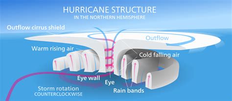 Labelled Cyclone Diagram